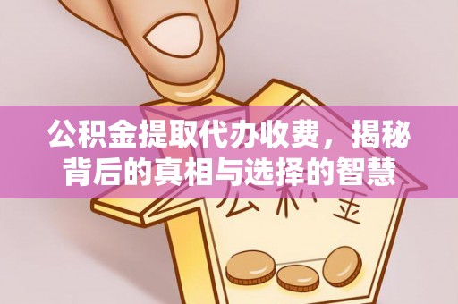 溪口公积金提取代办收费，揭秘背后的真相与选择的智慧