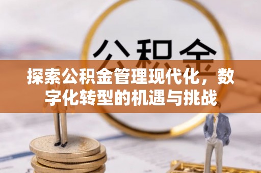 溪口探索公积金管理现代化，数字化转型的机遇与挑战