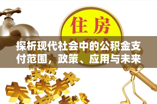 溪口探析现代社会中的公积金支付范围，政策、应用与未来趋势