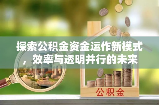 溪口探索公积金资金运作新模式，效率与透明并行的未来
