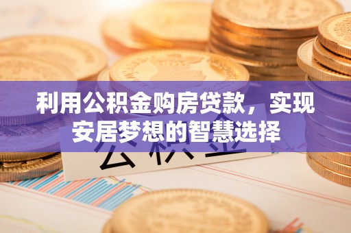 溪口利用公积金购房贷款，实现安居梦想的智慧选择