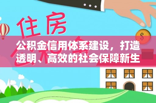溪口公积金信用体系建设，打造透明、高效的社会保障新生态