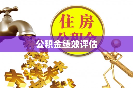 溪口公积金绩效评估