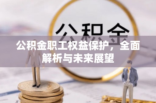 溪口公积金职工权益保护，全面解析与未来展望