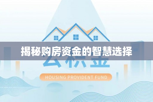 溪口揭秘购房资金的智慧选择
