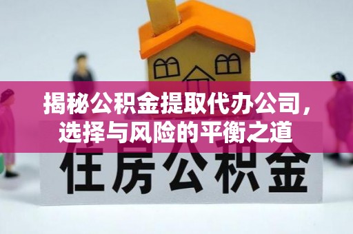 溪口揭秘公积金提取代办公司，选择与风险的平衡之道
