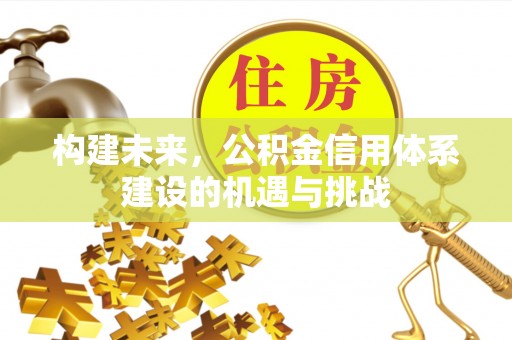 溪口构建未来，公积金信用体系建设的机遇与挑战