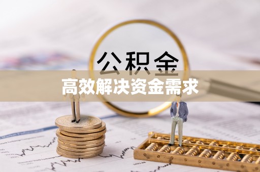 溪口高效解决资金需求