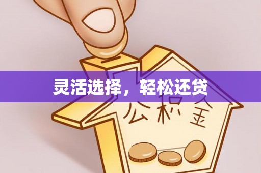 溪口灵活选择，轻松还贷