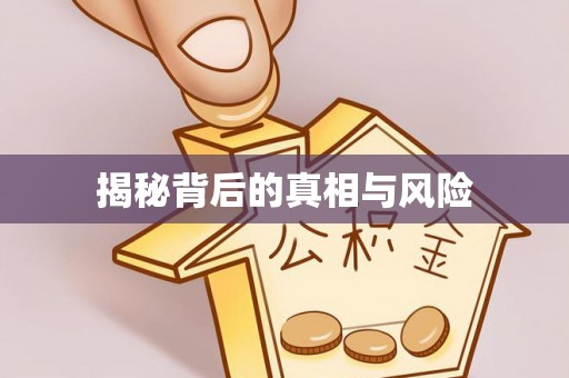 溪口揭秘背后的真相与风险
