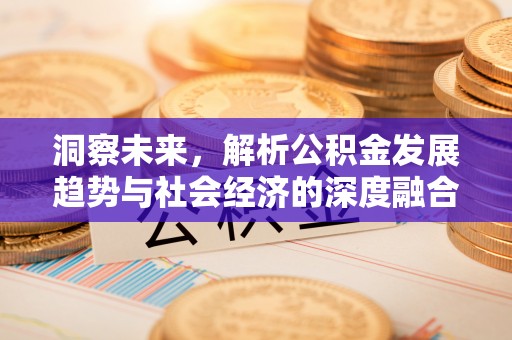 溪口洞察未来，解析公积金发展趋势与社会经济的深度融合