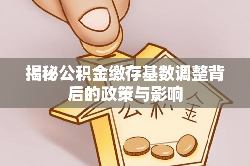 溪口揭秘公积金缴存基数调整背后的政策与影响