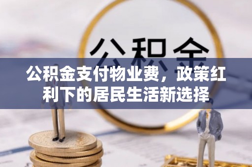 溪口公积金支付物业费，政策红利下的居民生活新选择