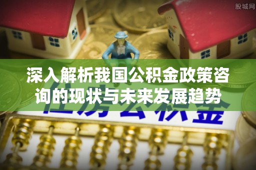 溪口深入解析我国公积金政策咨询的现状与未来发展趋势