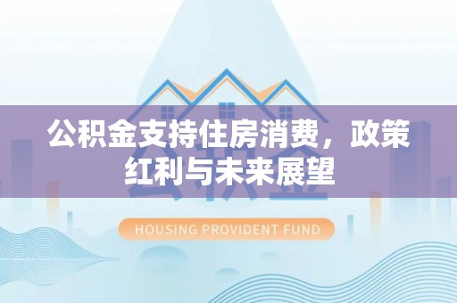 溪口公积金支持住房消费，政策红利与未来展望