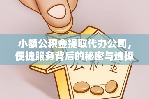溪口小额公积金提取代办公司，便捷服务背后的秘密与选择指南