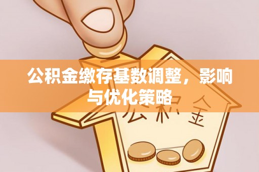 溪口公积金缴存基数调整，影响与优化策略