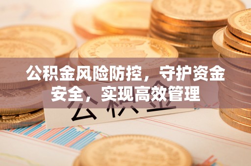 溪口公积金风险防控，守护资金安全，实现高效管理