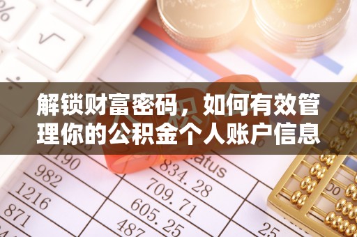 溪口解锁财富密码，如何有效管理你的公积金个人账户信息