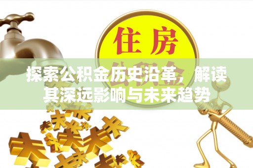 溪口探索公积金历史沿革，解读其深远影响与未来趋势