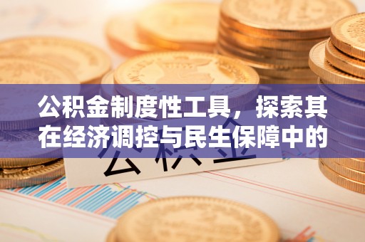 溪口公积金制度性工具，探索其在经济调控与民生保障中的重要作用