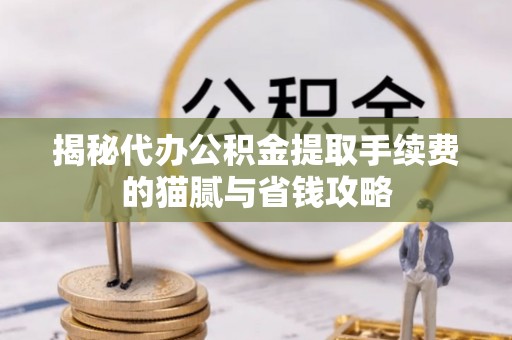 溪口揭秘代办公积金提取手续费的猫腻与省钱攻略