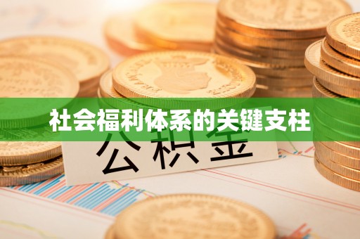 溪口社会福利体系的关键支柱