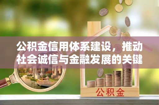 溪口公积金信用体系建设，推动社会诚信与金融发展的关键桥梁