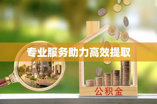溪口专业服务助力高效提取