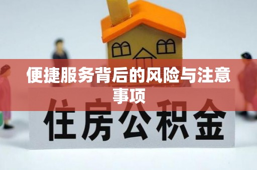 溪口便捷服务背后的风险与注意事项