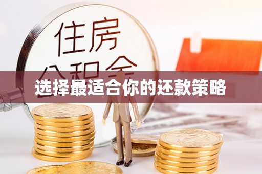 溪口选择最适合你的还款策略