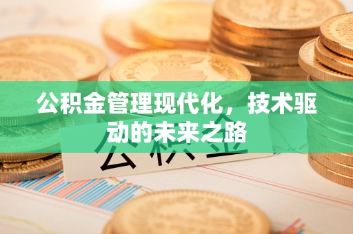 溪口公积金管理现代化，技术驱动的未来之路